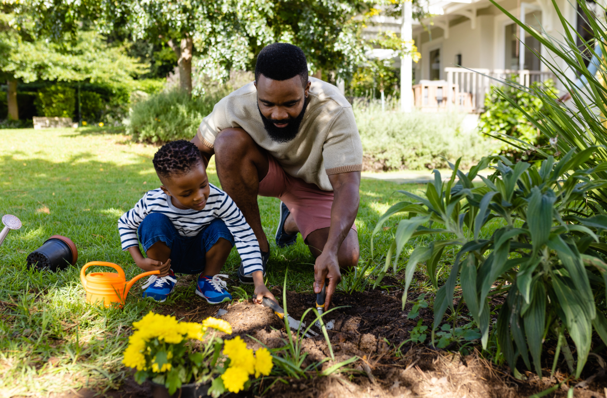 Man and young son planting flowers in garden