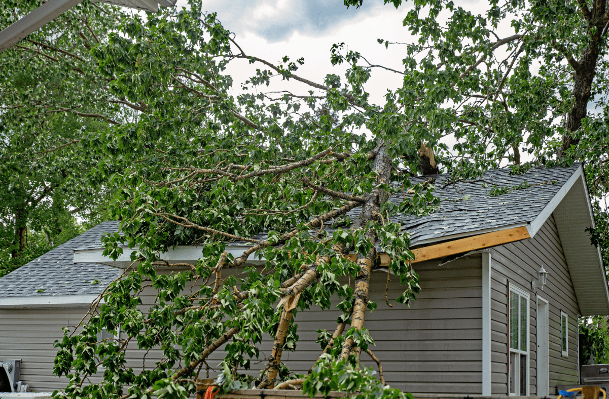 Tree has fallen on a home.