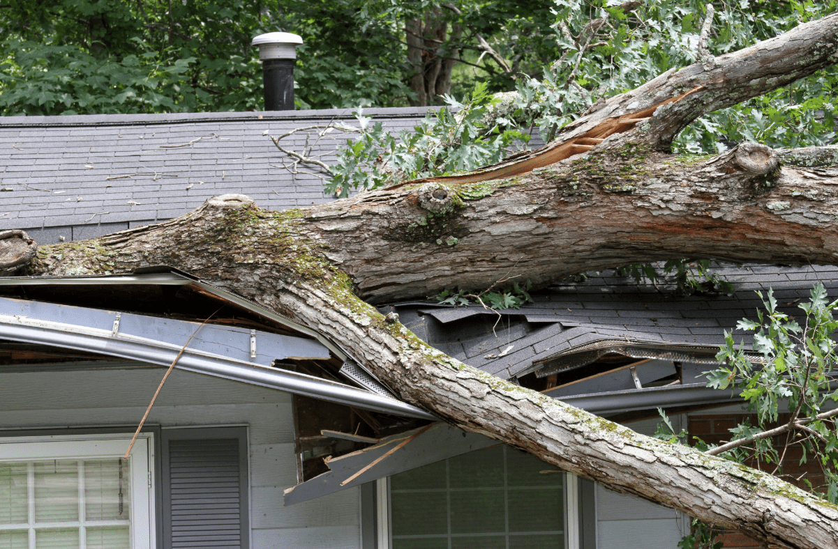 A tree falls on house causing damage