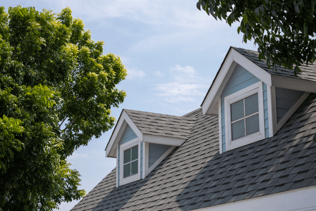 Picture of a home's roof with tree in the background